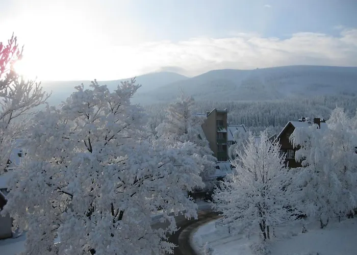 Gasthof Paradise Gorny Restauracja Viva La Pizza Przy Wyciagu Na Kope Karpacz